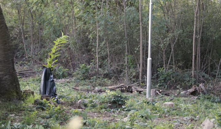 Projekty obce / Oddychová zóna ''Hôrka'' - foto