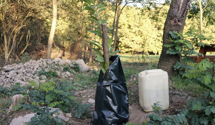 Projekty obce / Oddychová zóna ''Hôrka'' - foto