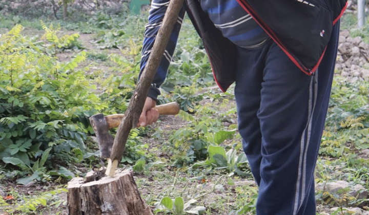 Projekty obce / Oddychová zóna ''Hôrka'' - foto